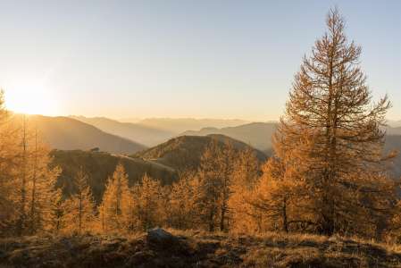 Wandern_Laerchengold © BRM - Franz Gerdl (2)