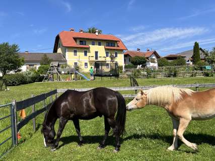 Bauernhof Paul - Rutarhof