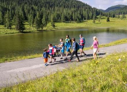 WW_N21 Egger Alm - Dellacher Alm