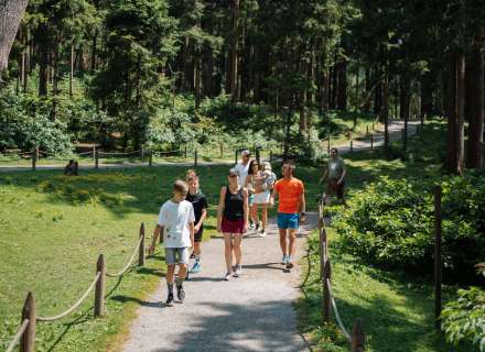 Abenteuer Affenberg