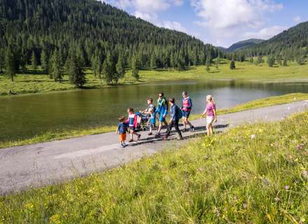 Entdeckt die Kraft der Almkräuter auf d. Egger Alm